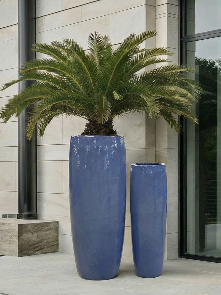 Una palmera en una maceta alta de color azul brillante, junto a otra maceta vacía más pequeña, en el exterior de un edificio moderno con paredes de piedra clara y grandes ventanales.