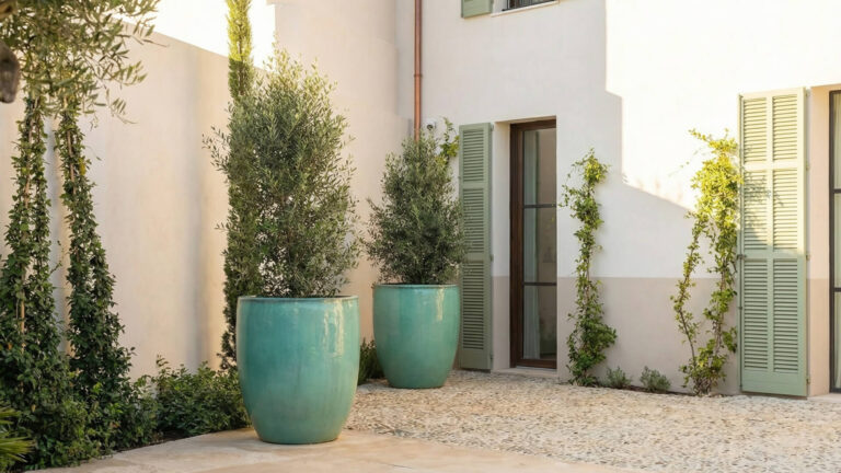 Dos grandes macetas de cerámica verde con pequeños árboles se alzan sobre un patio de guijarros cerca de un edificio beige con contraventanas verdes y plantas trepadoras, creando un ambiente tranquilo típico de las elegantes residencias privadas.