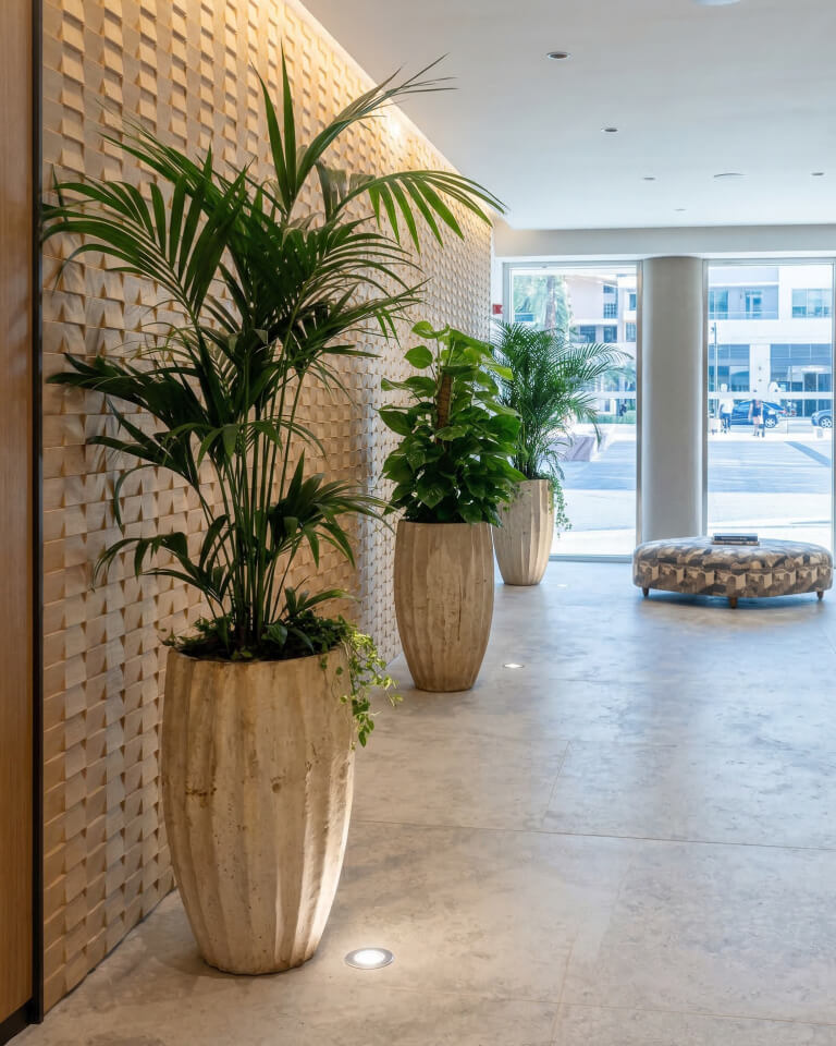 Grandes plantas en macetas se alinean en un vestíbulo moderno con paredes texturizadas, suelos de mármol y luz natural procedente de puertas de cristal, con una otomana redonda a la vista cerca de la entrada.