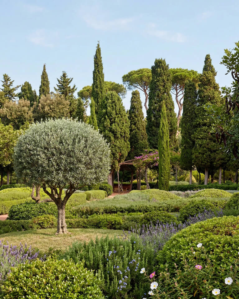 Un jardín paisajista con una variedad de árboles, arbustos y plantas con flores bajo un cielo azul despejado ofrece una escapada acogedora en espacios públicos.