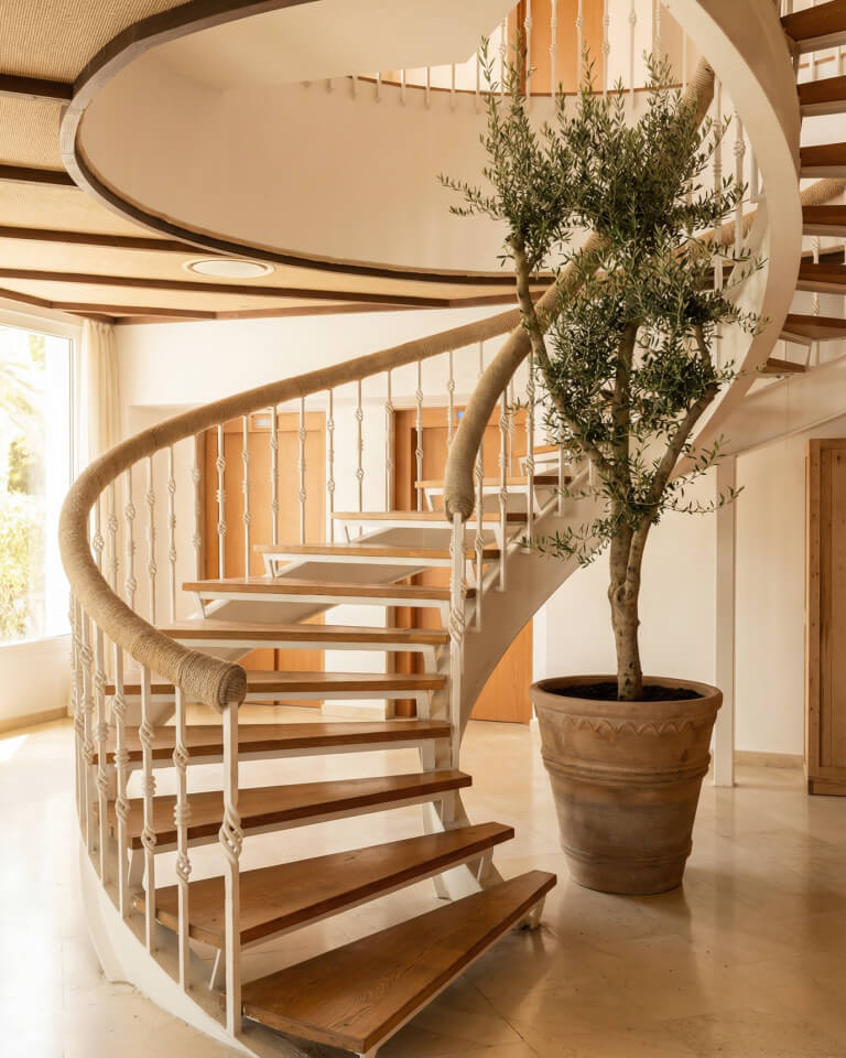 Una escalera de caracol con peldaños de madera y barandilla blanca se curva alrededor de un gran árbol en maceta en un espacio interior luminoso y moderno.